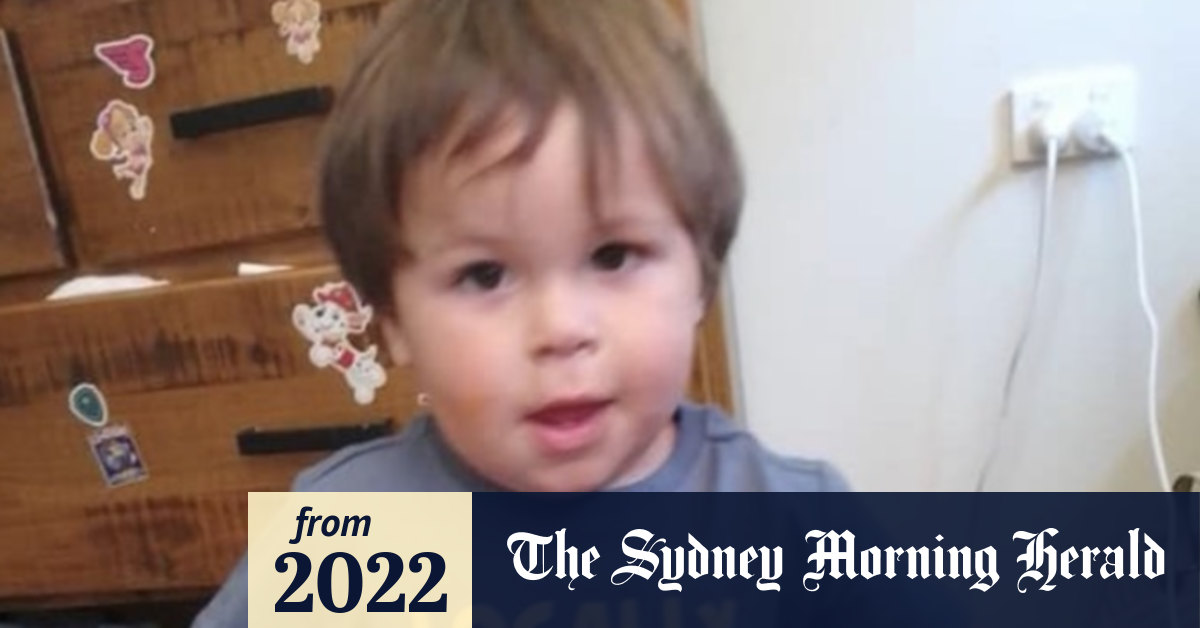 Cowra dog attack Toddler killed by rottweiller, cattle dog in NSW